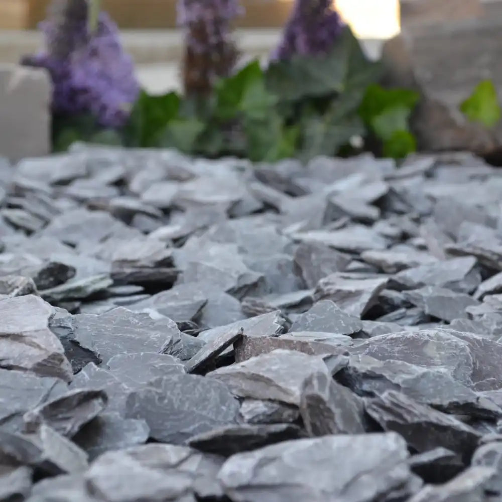 SCFBD905plum-slate-in-situ_40967697241_o-1-scaled_30a7cd71-1c56-4345-92ba-b932b494055c
